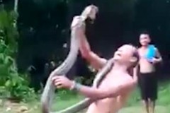 Мужчина решил показать соседям свою огромную змею и погиб