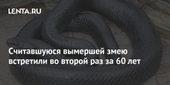 Считавшуюся вымершей змею встретили во второй раз за 60 лет