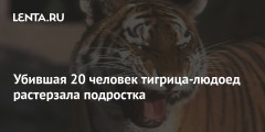 Убившая 20 человек тигрица-людоед растерзала подростка