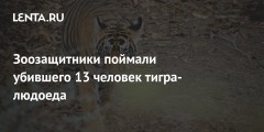 Зоозащитники поймали убившего 13 человек тигра-людоеда