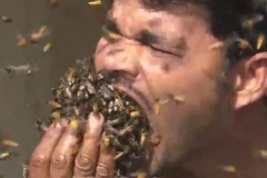 Индиец набил полный рот живыми пчелами