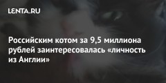 Российским котом за 9,5 миллиона рублей заинтересовалась «личность из Англии»