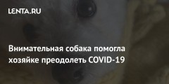 Внимательная собака помогла хозяйке преодолеть COVID-19
