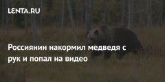 Россиянин накормил медведя с рук и попал на видео